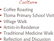 CultureCoffee RoastingTloma Primary School VisitVillage WalkArtists-in-ResidenceTraditional Medicine WalkReflection and Discussion